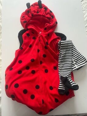 Carter's Red Ladybug Hooded halloween with wings and striped leotards 24 mths